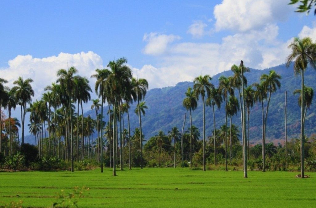 Jak przygotować się na pierwszą wycieczkę objazdową po Dominikanie?